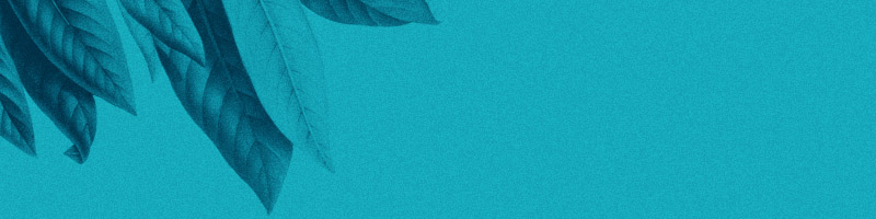 Bohemia Velas & Aromas