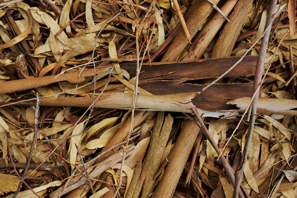 Bohemia Velas & Aromas