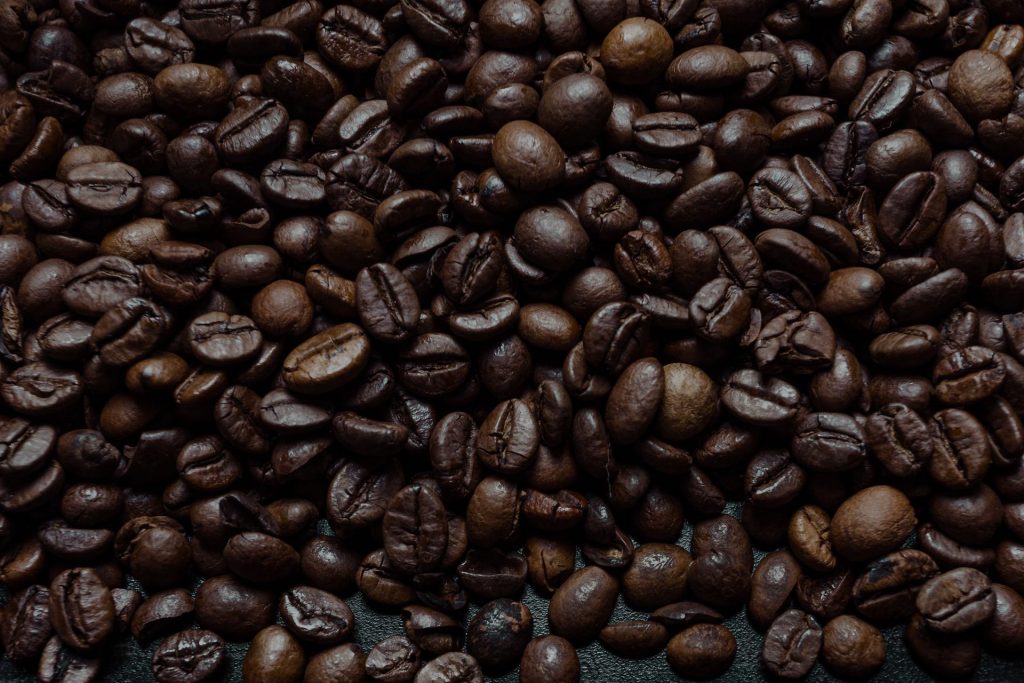 Bohemia Velas & Aromas