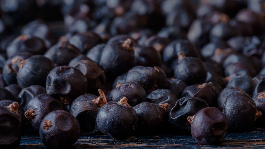 Bohemia Velas & Aromas