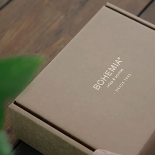 Accesorios | Box Kraft